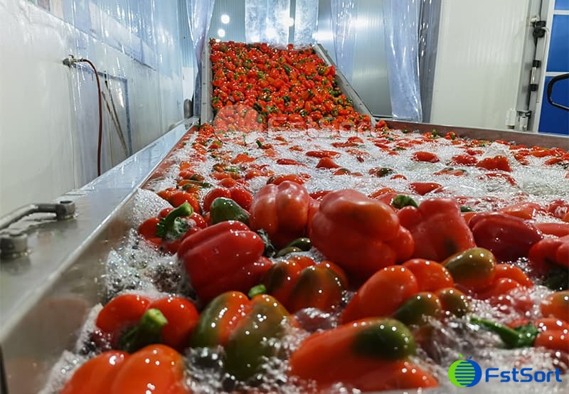 images/1702542046013bell pepper washing machine.jpg